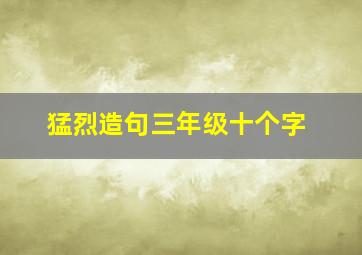 猛烈造句三年级十个字