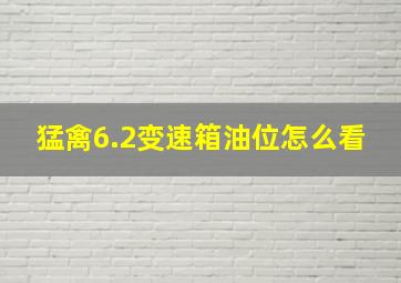 猛禽6.2变速箱油位怎么看