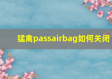 猛禽passairbag如何关闭