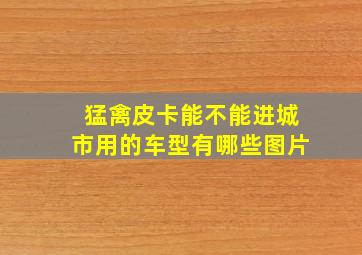 猛禽皮卡能不能进城市用的车型有哪些图片