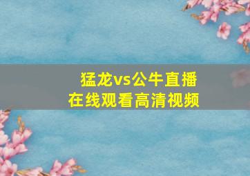 猛龙vs公牛直播在线观看高清视频