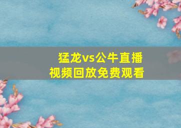 猛龙vs公牛直播视频回放免费观看