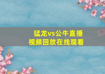 猛龙vs公牛直播视频回放在线观看