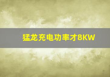 猛龙充电功率才8KW