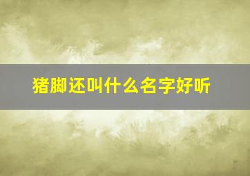 猪脚还叫什么名字好听