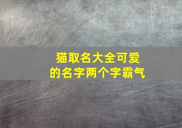 猫取名大全可爱的名字两个字霸气