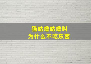 猫咕噜咕噜叫为什么不吃东西