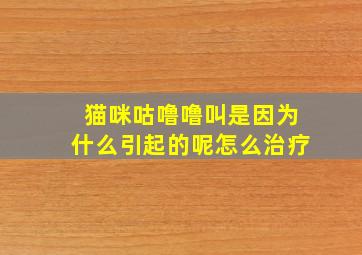 猫咪咕噜噜叫是因为什么引起的呢怎么治疗