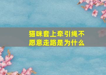 猫咪套上牵引绳不愿意走路是为什么