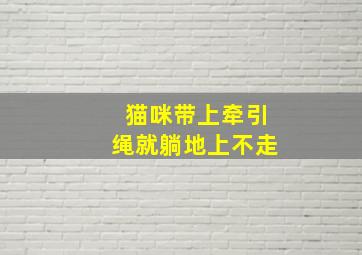 猫咪带上牵引绳就躺地上不走