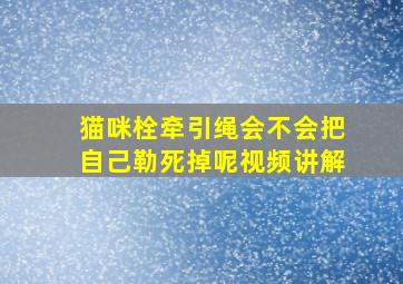 猫咪栓牵引绳会不会把自己勒死掉呢视频讲解