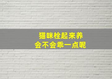 猫咪栓起来养会不会乖一点呢