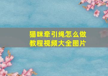 猫咪牵引绳怎么做教程视频大全图片