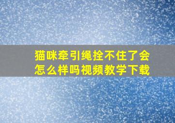 猫咪牵引绳拴不住了会怎么样吗视频教学下载