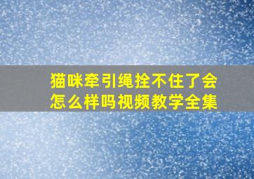 猫咪牵引绳拴不住了会怎么样吗视频教学全集