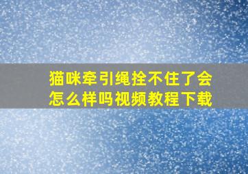 猫咪牵引绳拴不住了会怎么样吗视频教程下载