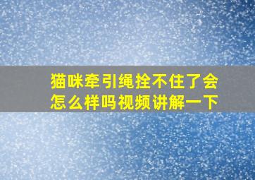 猫咪牵引绳拴不住了会怎么样吗视频讲解一下