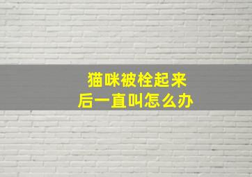 猫咪被栓起来后一直叫怎么办