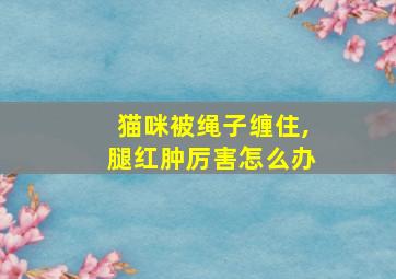 猫咪被绳子缠住,腿红肿厉害怎么办