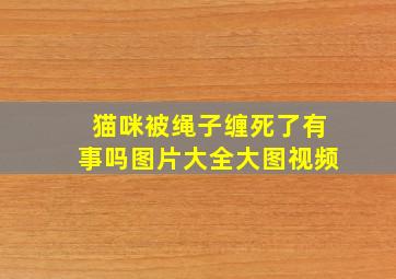 猫咪被绳子缠死了有事吗图片大全大图视频