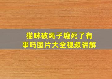 猫咪被绳子缠死了有事吗图片大全视频讲解