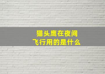 猫头鹰在夜间飞行用的是什么