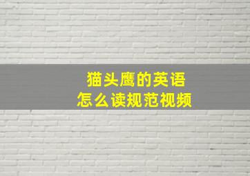 猫头鹰的英语怎么读规范视频