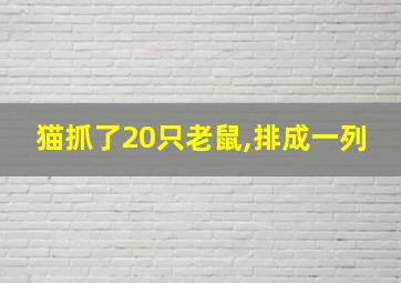 猫抓了20只老鼠,排成一列