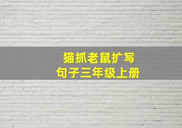 猫抓老鼠扩写句子三年级上册