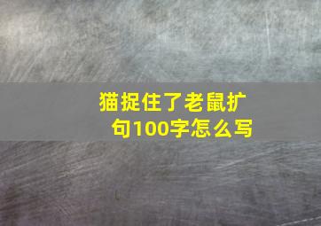 猫捉住了老鼠扩句100字怎么写