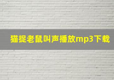 猫捉老鼠叫声播放mp3下载