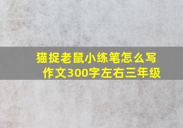 猫捉老鼠小练笔怎么写作文300字左右三年级