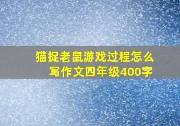 猫捉老鼠游戏过程怎么写作文四年级400字