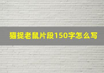 猫捉老鼠片段150字怎么写