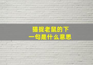 猫捉老鼠的下一句是什么意思