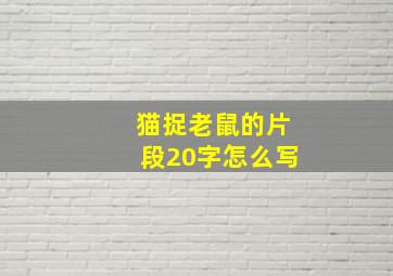 猫捉老鼠的片段20字怎么写