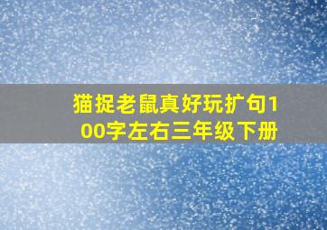 猫捉老鼠真好玩扩句100字左右三年级下册