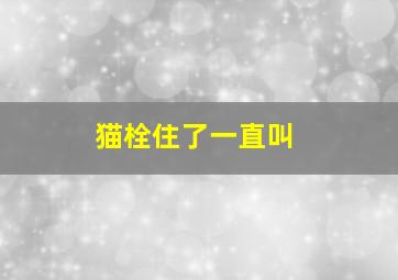 猫栓住了一直叫