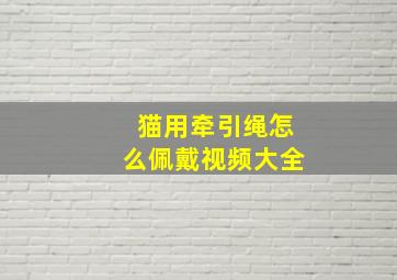 猫用牵引绳怎么佩戴视频大全