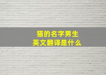 猫的名字男生英文翻译是什么