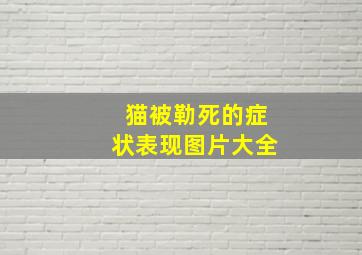 猫被勒死的症状表现图片大全