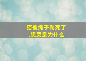 猫被绳子勒死了,想哭是为什么