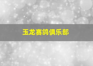 玉龙赛鸽俱乐部