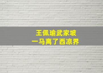 王佩瑜武家坡一马离了西凉界