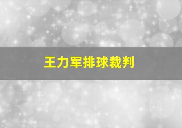 王力军排球裁判