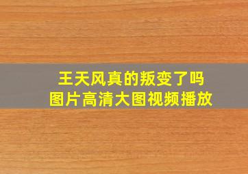 王天风真的叛变了吗图片高清大图视频播放