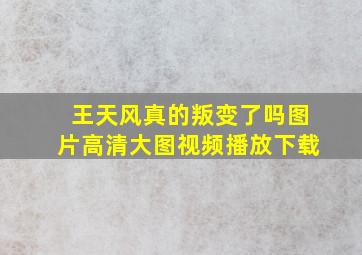 王天风真的叛变了吗图片高清大图视频播放下载