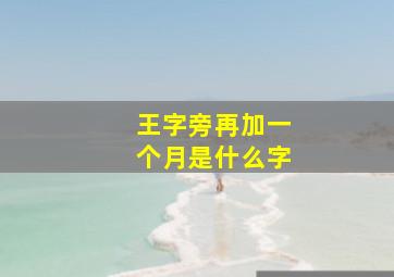 王字旁再加一个月是什么字