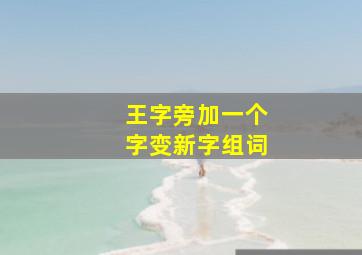 王字旁加一个字变新字组词