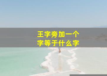 王字旁加一个字等于什么字